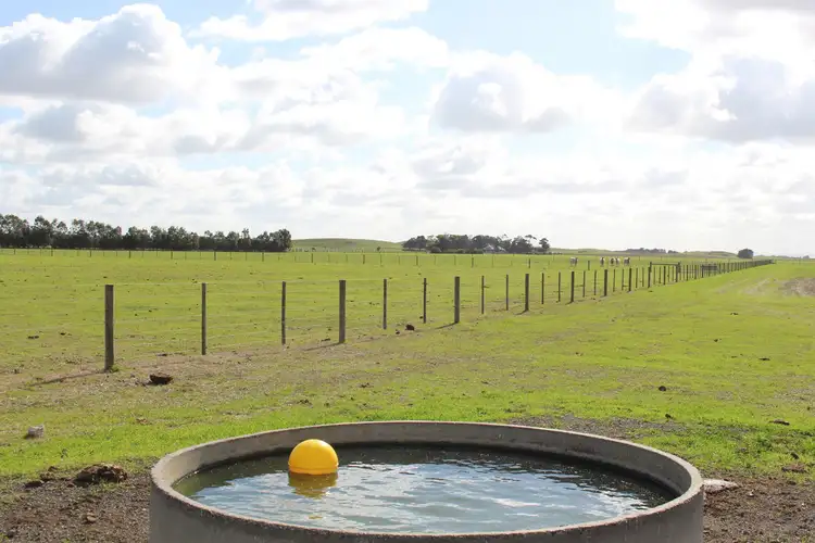 Second view of Homely rural property listing, 185 Pierces Road, Weering VIC 3251