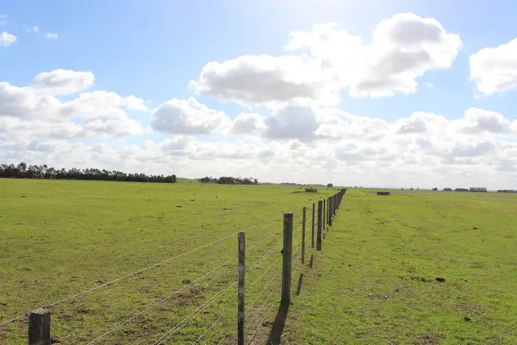 Fifth view of Homely rural property listing, 185 Pierces Road, Weering VIC 3251