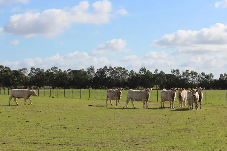 Sixth view of Homely rural property listing, 185 Pierces Road, Weering VIC 3251