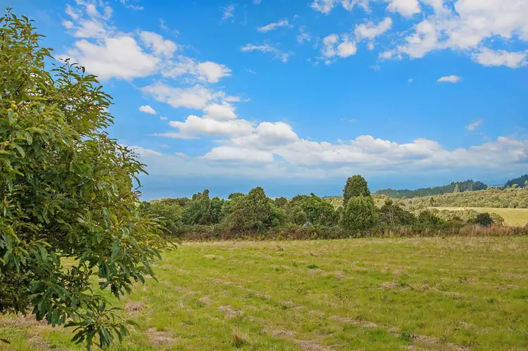 Fifth view of Homely rural property listing, 35 Wait-a-while Road, Wyelangta VIC 3237