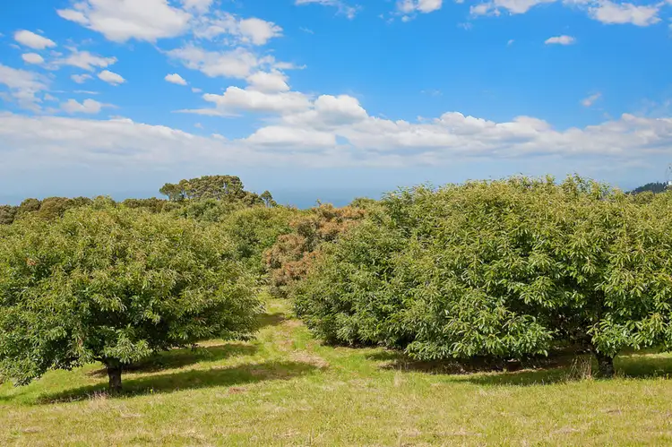Sixth view of Homely rural property listing, 35 Wait-a-while Road, Wyelangta VIC 3237
