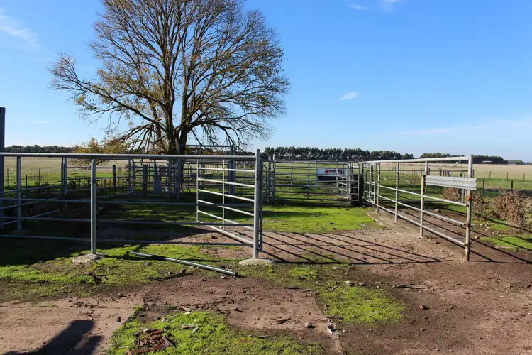 Fifth view of Homely rural property listing, Settlement & Swan Marsh-Stonyford Road, Swan Marsh VIC 3249