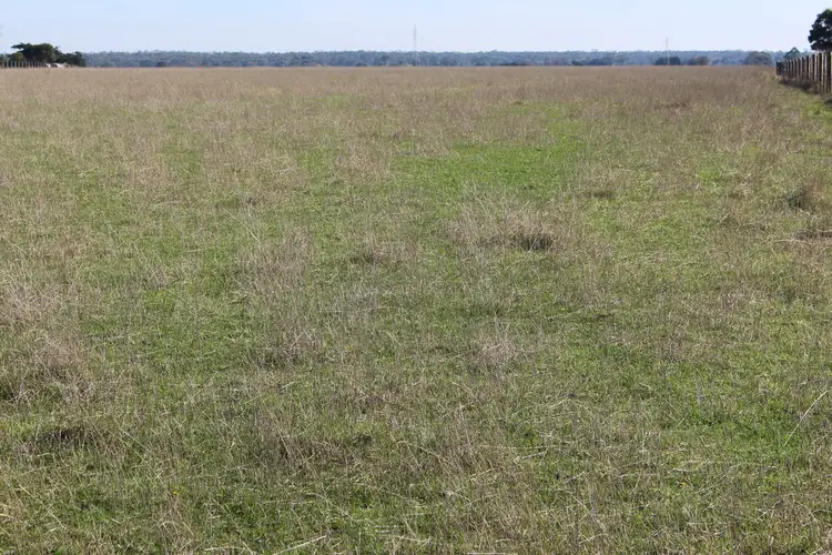 Sixth view of Homely rural property listing, Settlement & Swan Marsh-Stonyford Road, Swan Marsh VIC 3249