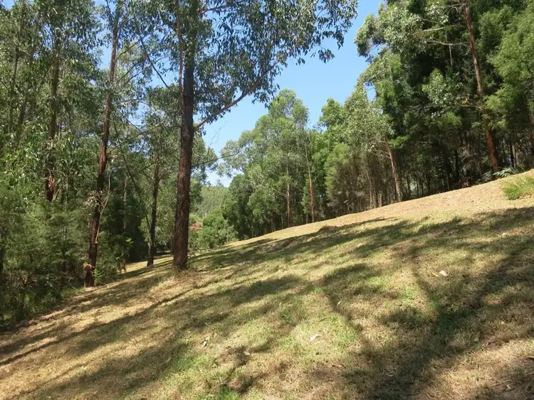 Seventh view of Homely rural property listing, LOT 3, LP209243A Great Ocean Road, Gellibrand Lower VIC 3237