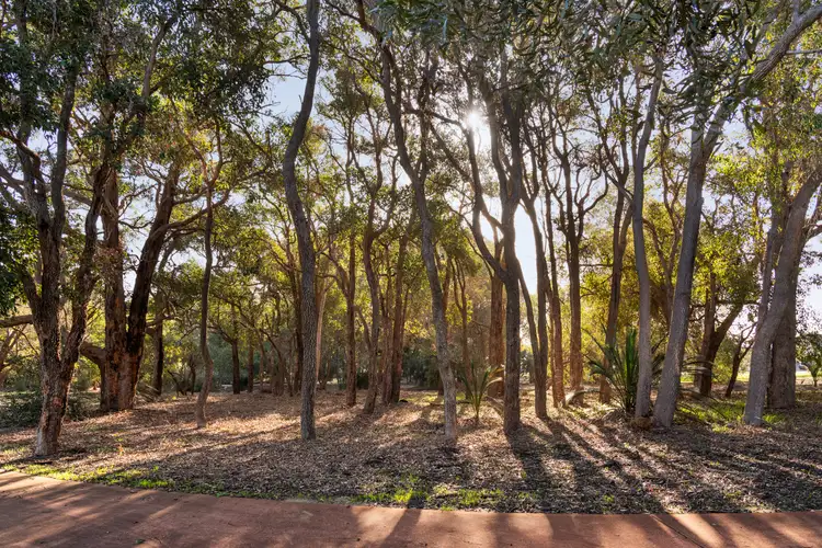 Sixth view of Homely house listing, 20A Lopez Crescent, Ashby WA 6065