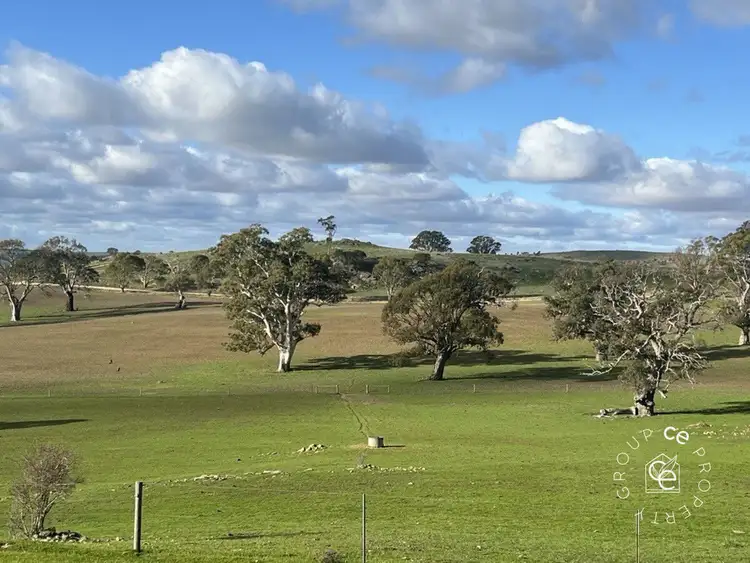 Main view of Homely rural property listing, LOT 132 Moss Smith Road, Eden Valley SA 5235
