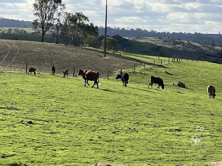 Sixth view of Homely rural property listing, LOT 132 Moss Smith Road, Eden Valley SA 5235