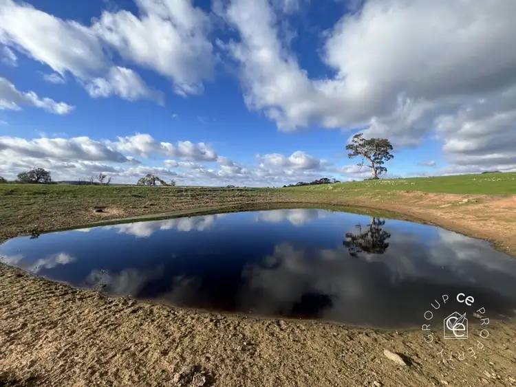 Seventh view of Homely rural property listing, LOT 132 Moss Smith Road, Eden Valley SA 5235