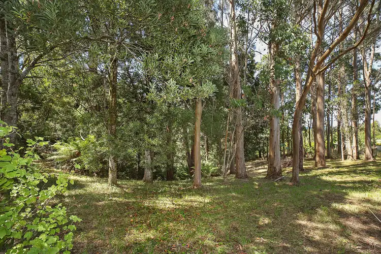 Third view of Homely rural property listing, 52-54 Old Main Road, Beech Forest VIC 3237