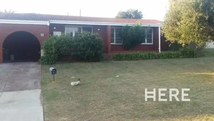 Main view of Homely house listing, 11 March Street, Gwelup WA 6018
