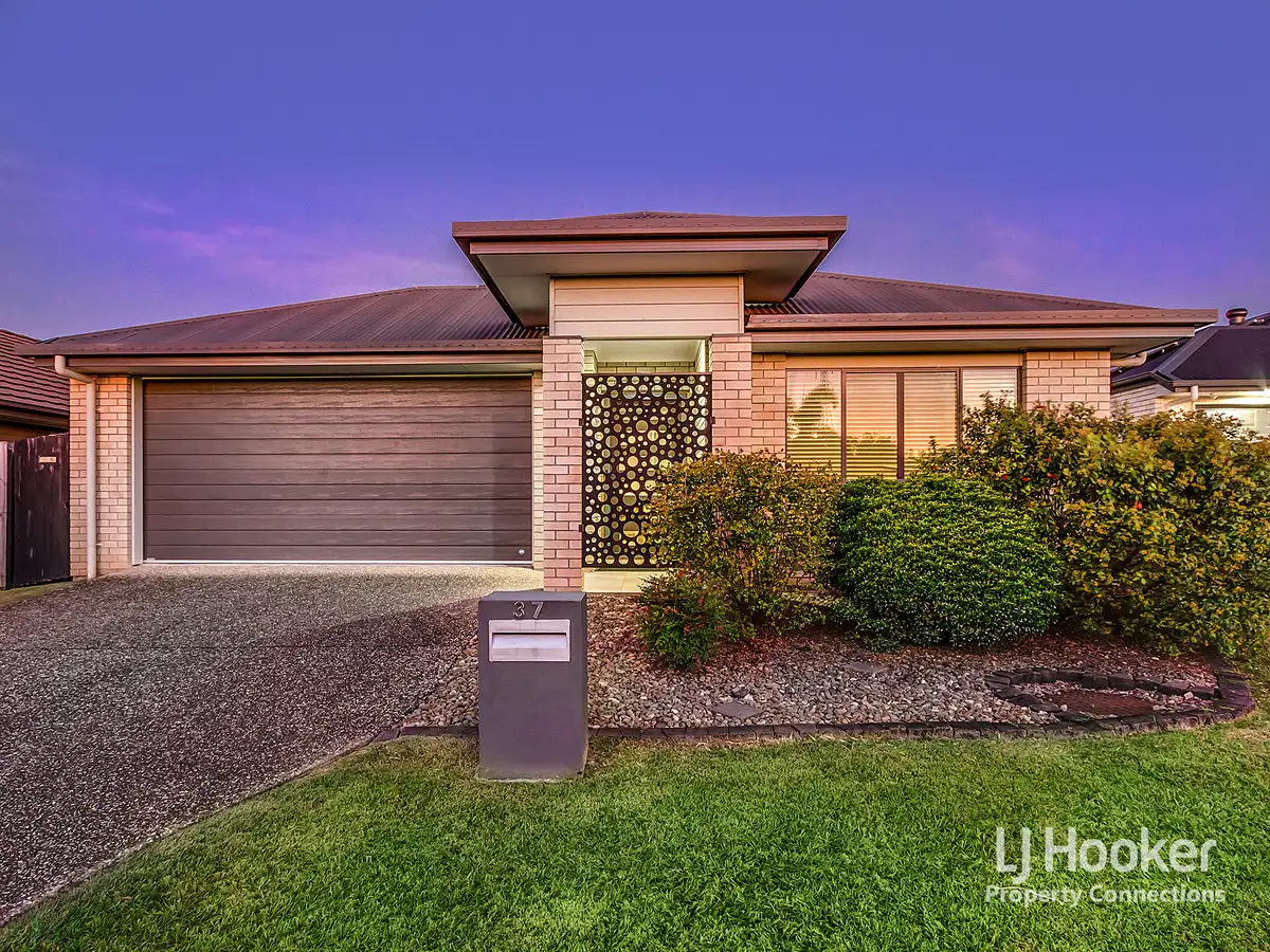 Main view of Homely house listing, 37 Elderflower Circuit, Griffin QLD 4503
