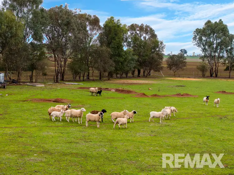 Fourth view of Homely land listing, 37 Wyoming Lane, Junee NSW 2663
