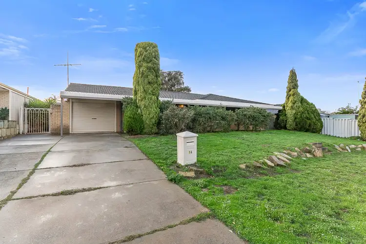 16 Katrine Way, Hamersley WA 6022