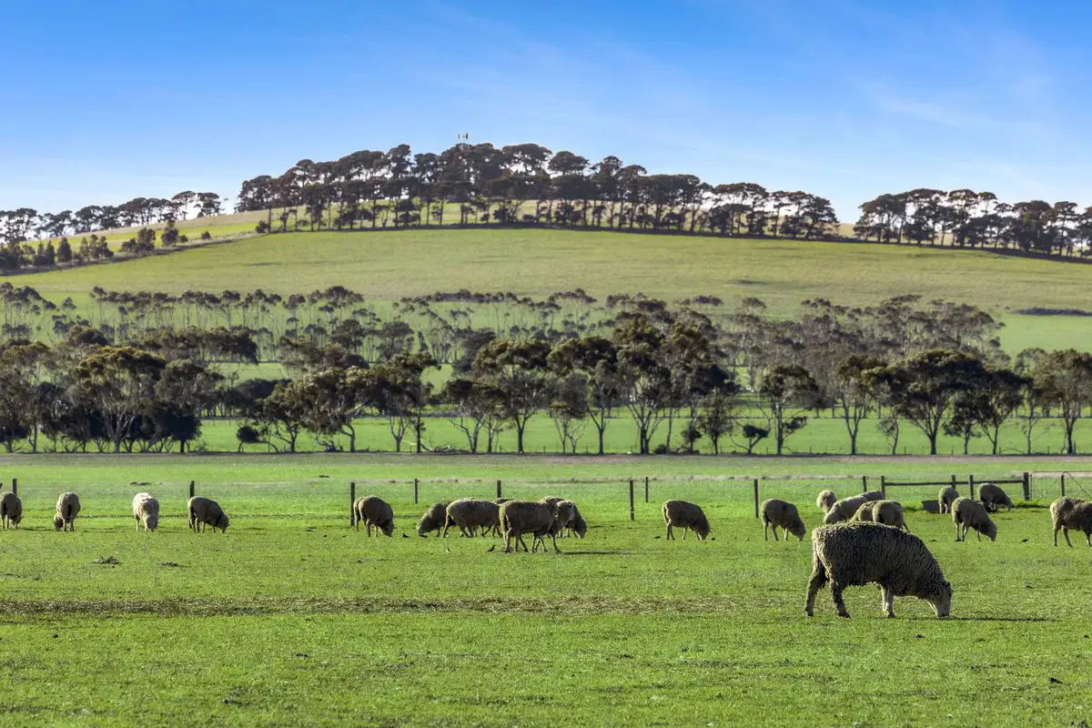 Main view of Homely rural property listing, 2125 Barrabool Road, Mount Moriac VIC 3240