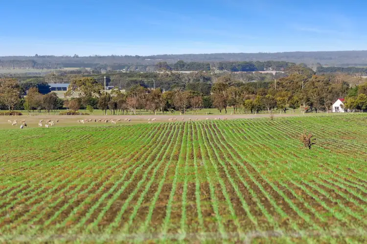 Fifth view of Homely rural property listing, 2125 Barrabool Road, Mount Moriac VIC 3240