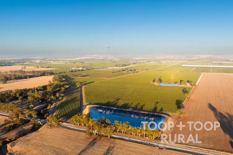 Main view of Homely rural property listing, 1404 Research Road, Ebenezer SA 5355
