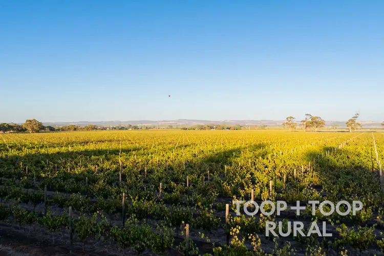 Second view of Homely rural property listing, 1404 Research Road, Ebenezer SA 5355