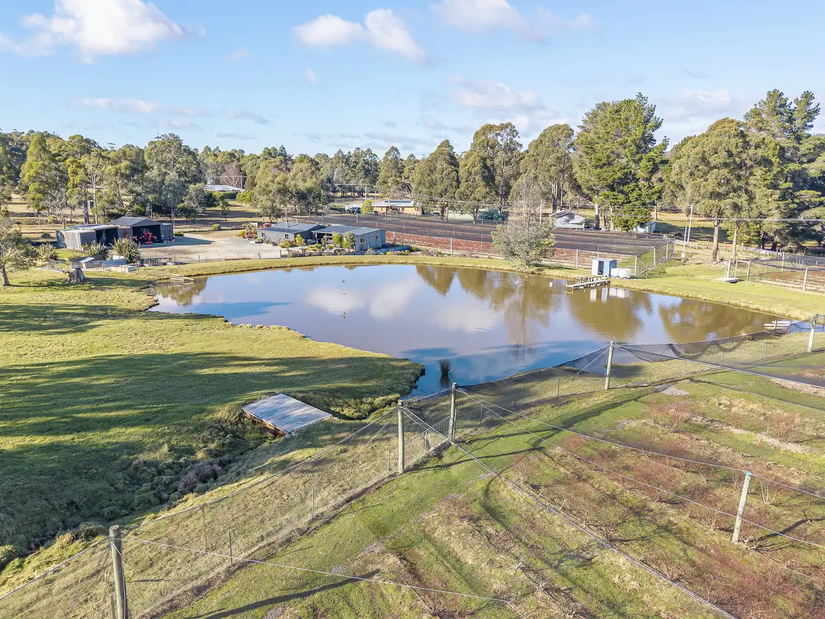 Main view of Homely rural property listing, 268 Krauses Road, Lower Longley TAS 7109