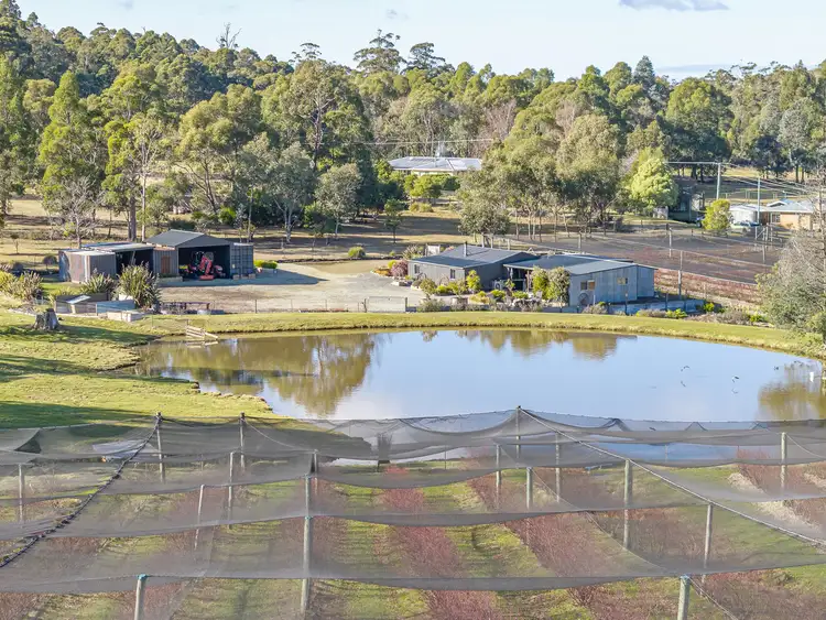 Second view of Homely rural property listing, 268 Krauses Road, Lower Longley TAS 7109
