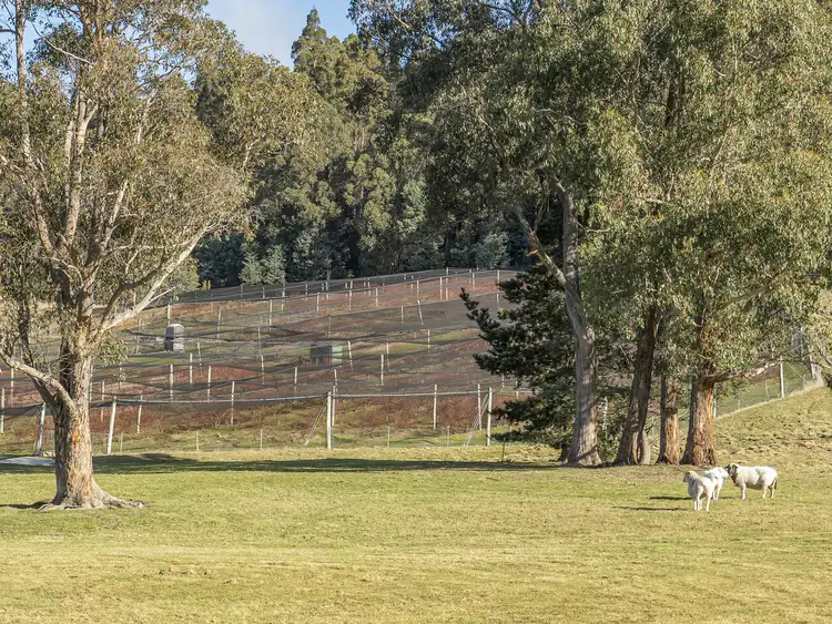 Fourth view of Homely rural property listing, 268 Krauses Road, Lower Longley TAS 7109
