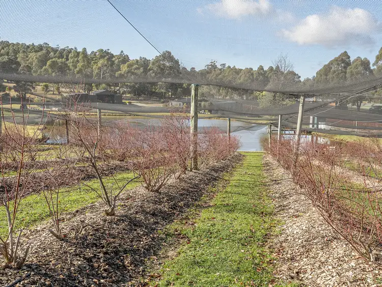 Sixth view of Homely rural property listing, 268 Krauses Road, Lower Longley TAS 7109