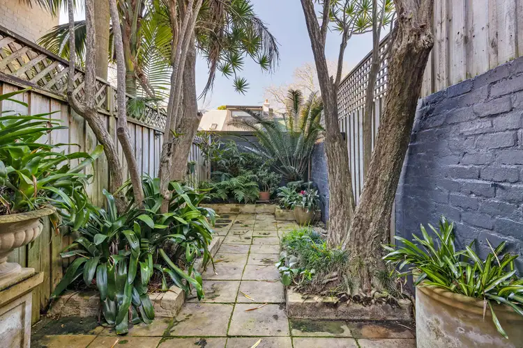 Fifth view of Homely terrace listing, 8 Raper Street, Surry Hills NSW 2010