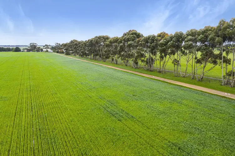 Fourth view of Homely rural property listing, 1110 Pitfield-Cressy Road, Werneth VIC 3352