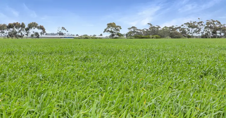 Sixth view of Homely rural property listing, 1110 Pitfield-Cressy Road, Werneth VIC 3352