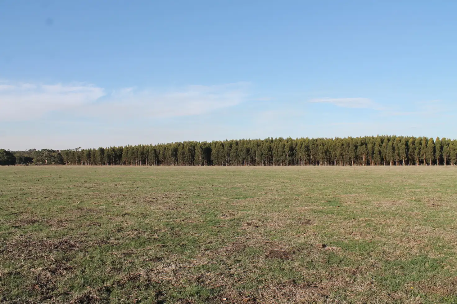 Main view of Homely rural property listing, 260 Swan Marsh-Stonyford Road, Pirron Yallock VIC 3249