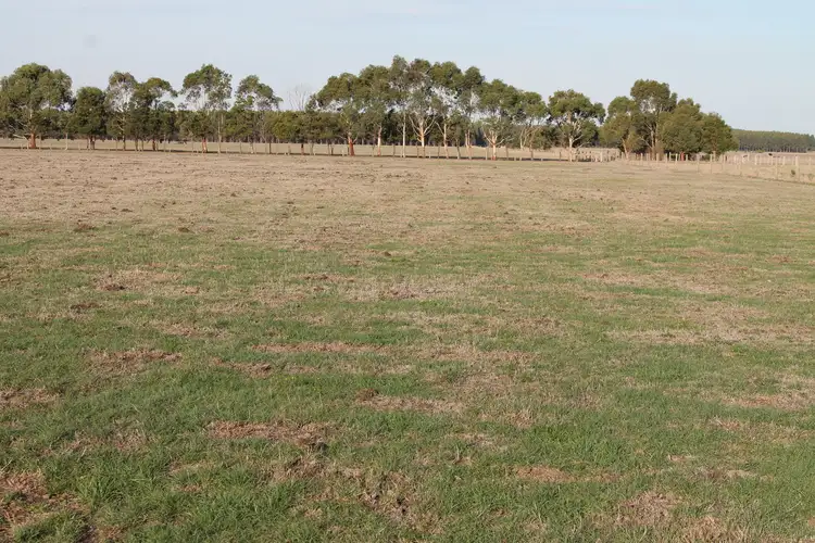 Third view of Homely rural property listing, 260 Swan Marsh-Stonyford Road, Pirron Yallock VIC 3249