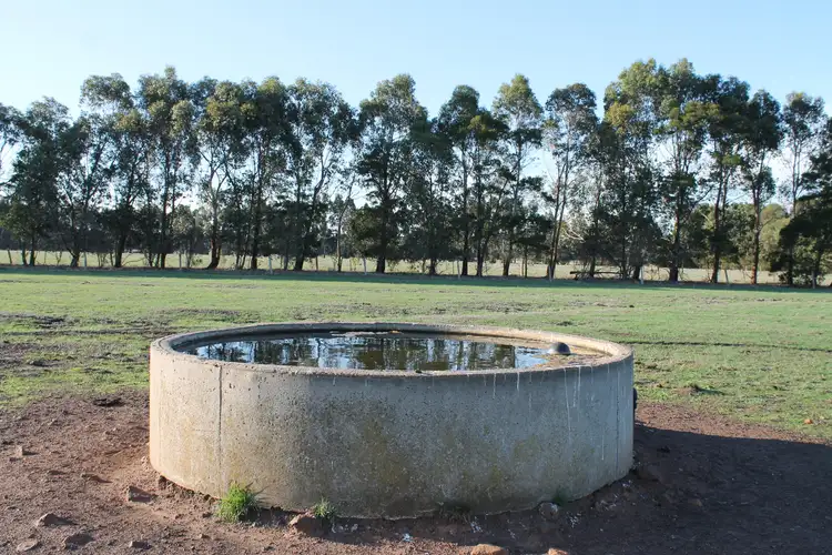 Fourth view of Homely rural property listing, 260 Swan Marsh-Stonyford Road, Pirron Yallock VIC 3249