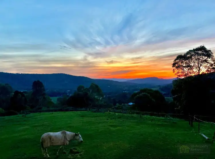 43 Rowe Lane, Cedar Creek QLD 4207