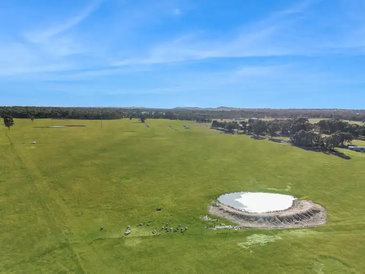 Second view of Homely rural property listing, 703 Cope Road, Gulgong NSW 2852