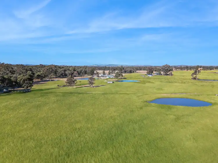 Third view of Homely rural property listing, 703 Cope Road, Gulgong NSW 2852