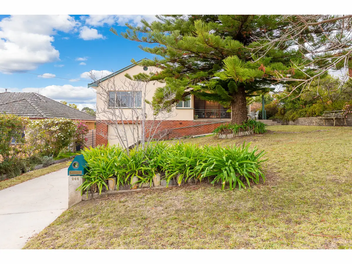 Main view of Homely house listing, 244 Denmar Street, East Albury NSW 2640