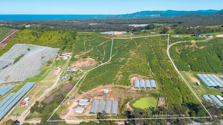 Sixth view of Homely rural property listing, 20 Puhos Road, Sandy Beach NSW 2456