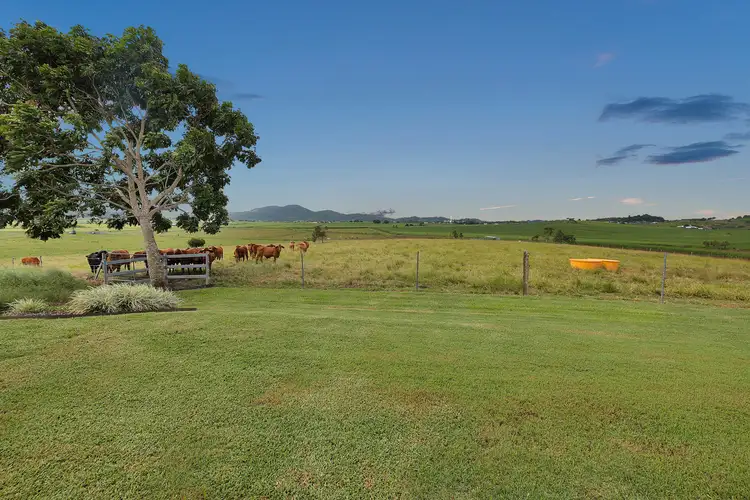 Third view of Homely house listing, 158 Ridolfis Road, Farleigh QLD 4741