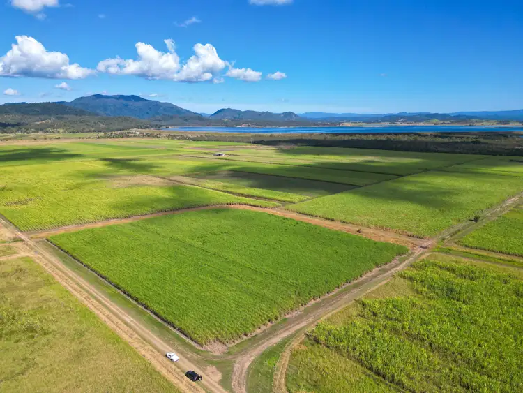 Fourth view of Homely rural property listing, Lot 4 Marge Camerons Road, Marian QLD 4753