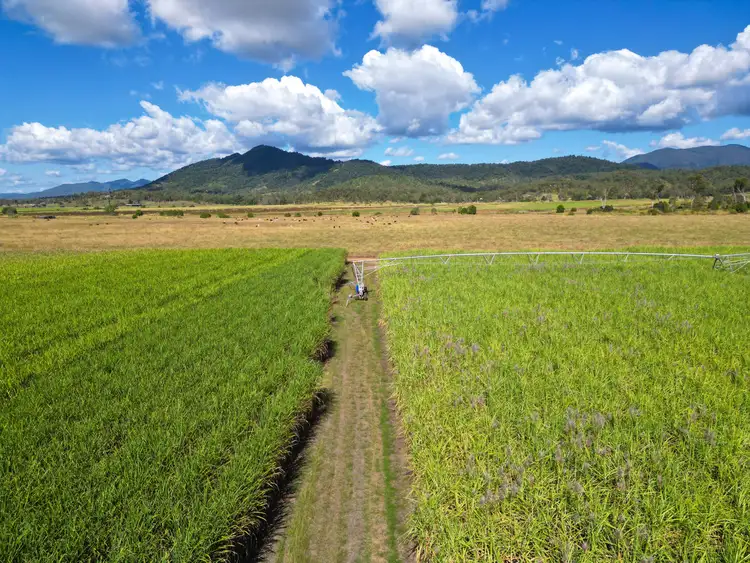 Seventh view of Homely rural property listing, Lot 4 Marge Camerons Road, Marian QLD 4753