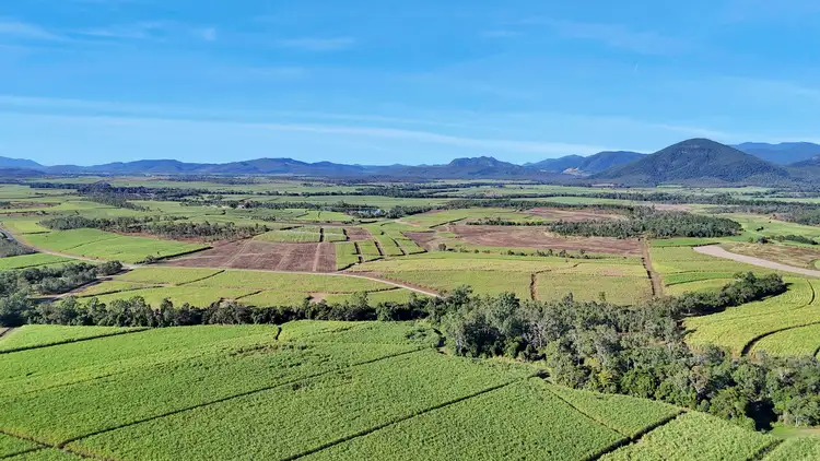 Main view of Homely rural property listing, Lot 21, 241 Wintons Road, Yalboroo QLD 4741
