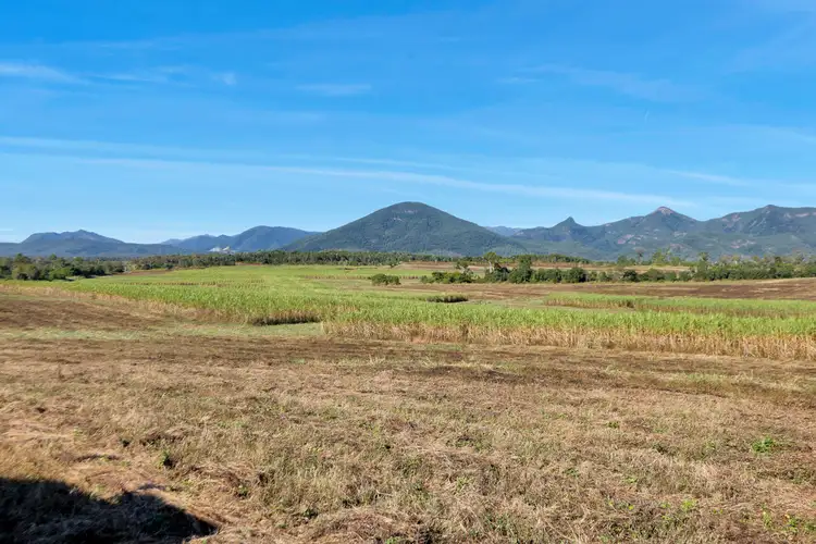 Second view of Homely rural property listing, Lot 21, 241 Wintons Road, Yalboroo QLD 4741