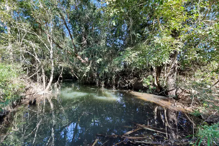 Third view of Homely rural property listing, Lot 21, 241 Wintons Road, Yalboroo QLD 4741