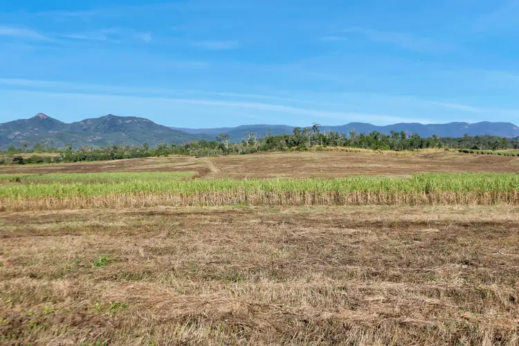 Fourth view of Homely rural property listing, Lot 21, 241 Wintons Road, Yalboroo QLD 4741
