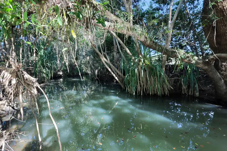 Fifth view of Homely rural property listing, Lot 21, 241 Wintons Road, Yalboroo QLD 4741