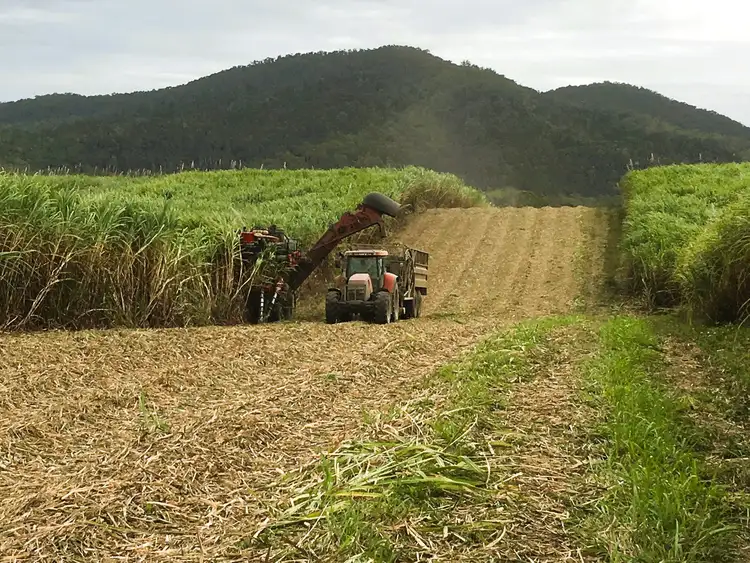Sixth view of Homely rural property listing, Lot 21, 241 Wintons Road, Yalboroo QLD 4741