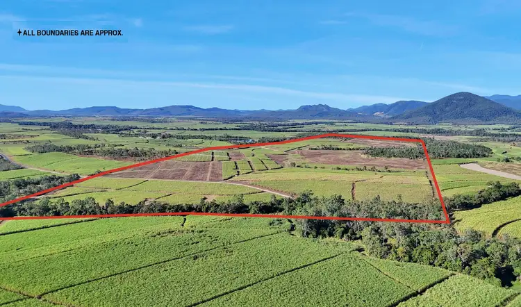 Seventh view of Homely rural property listing, Lot 21, 241 Wintons Road, Yalboroo QLD 4741