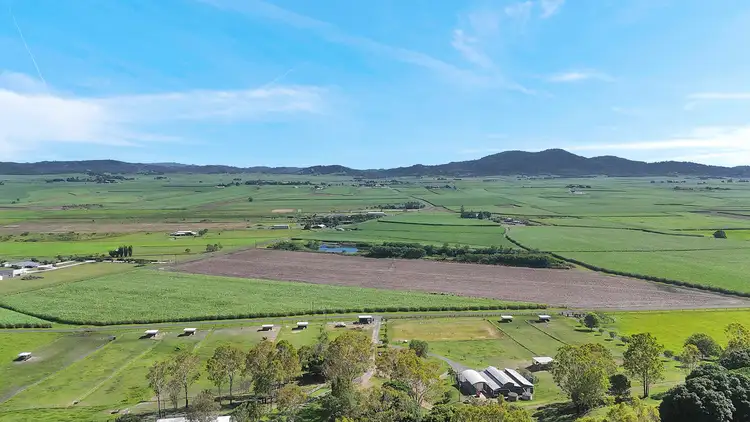 Second view of Homely rural property listing, 137 Nebia-Coningsby Road, Farleigh QLD 4741