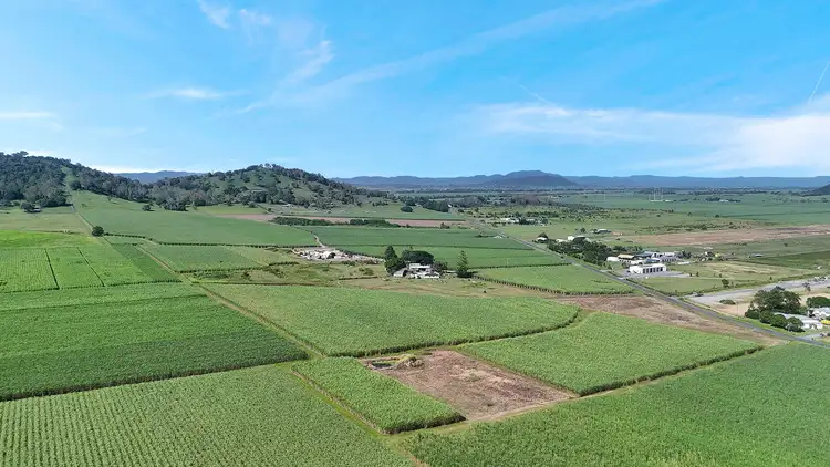 Third view of Homely rural property listing, 137 Nebia-Coningsby Road, Farleigh QLD 4741