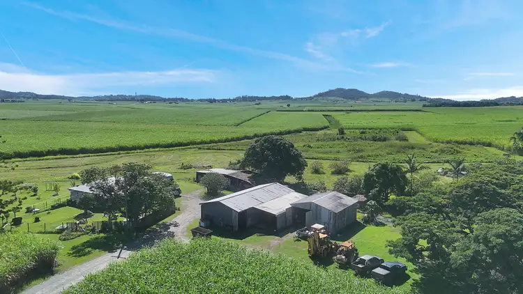 Fourth view of Homely rural property listing, 137 Nebia-Coningsby Road, Farleigh QLD 4741