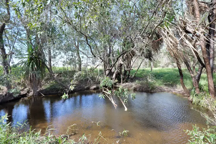 Fourth view of Homely rural property listing, LOT 4 Llewellyn Road, Bloomsbury QLD 4799